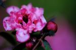 DSCF2362